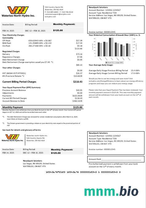 USA Nevada Waterloo North Hydro rachunek za usługi komunalne szablon w formacie Word i PDF (Wersja 2)